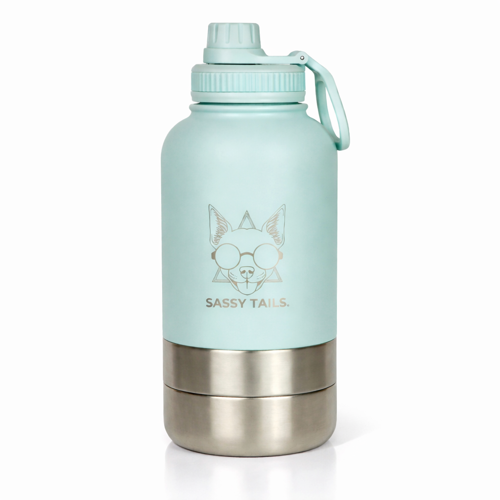 MINTY WIGGLE 3 IN 1 PET TRAVEL BOTTLE