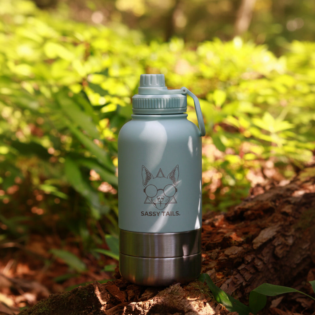 MINTY WIGGLE 3 IN 1 PET TRAVEL BOTTLE