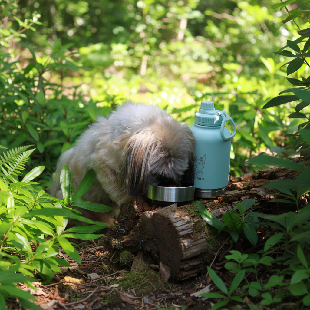 MINTY WIGGLE 3 IN 1 PET TRAVEL BOTTLE