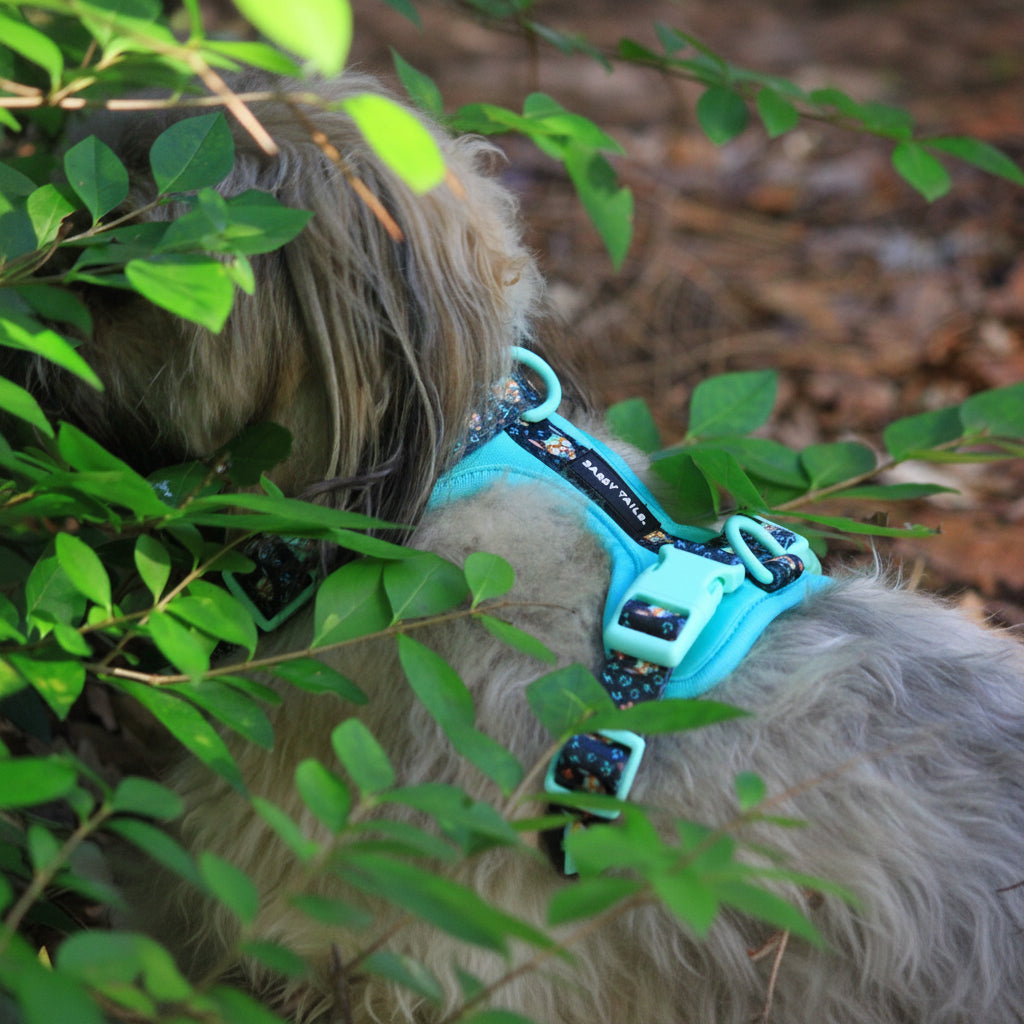 MINTY WIGGLE HARNESS