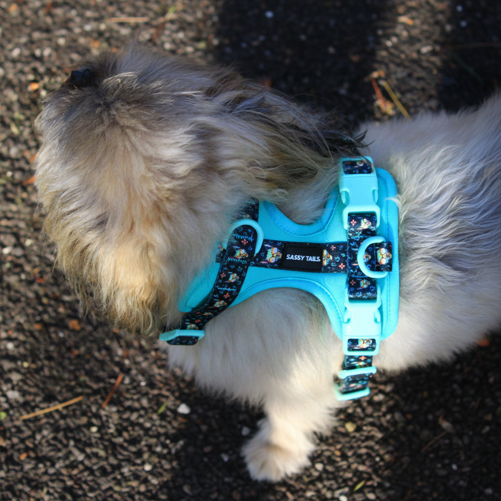 MINTY WIGGLE HARNESS