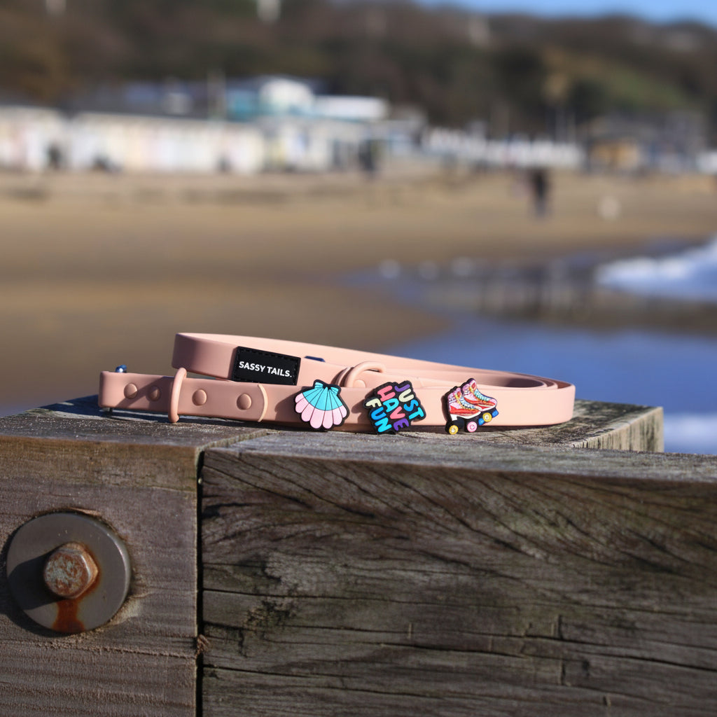 PINKY REBEL LEAD & COLLAR SET