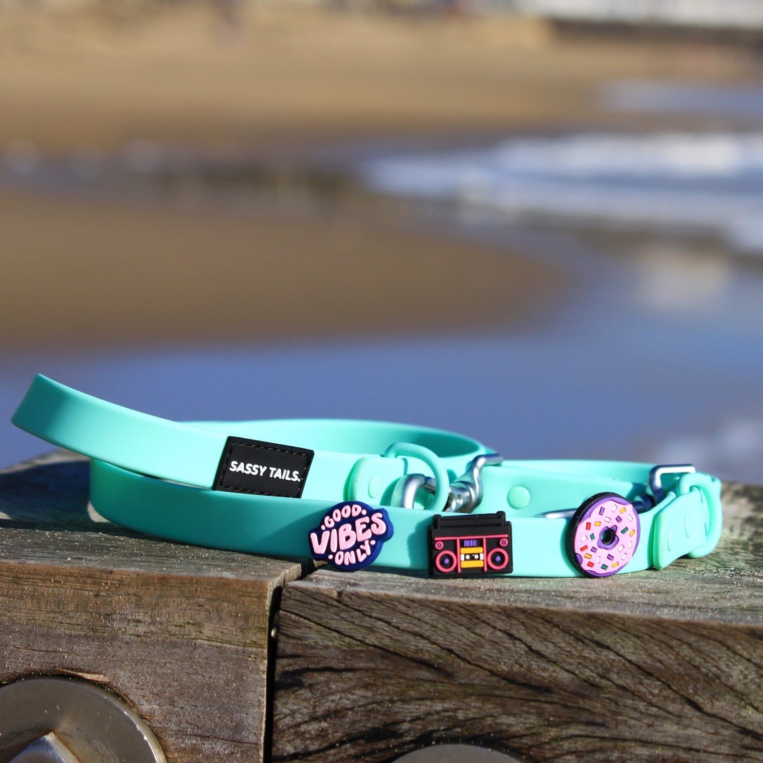 MINTY WIGGLE LEAD & COLLAR SET