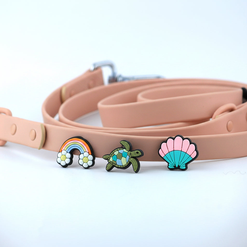 PINKY REBEL LEAD & COLLAR SET