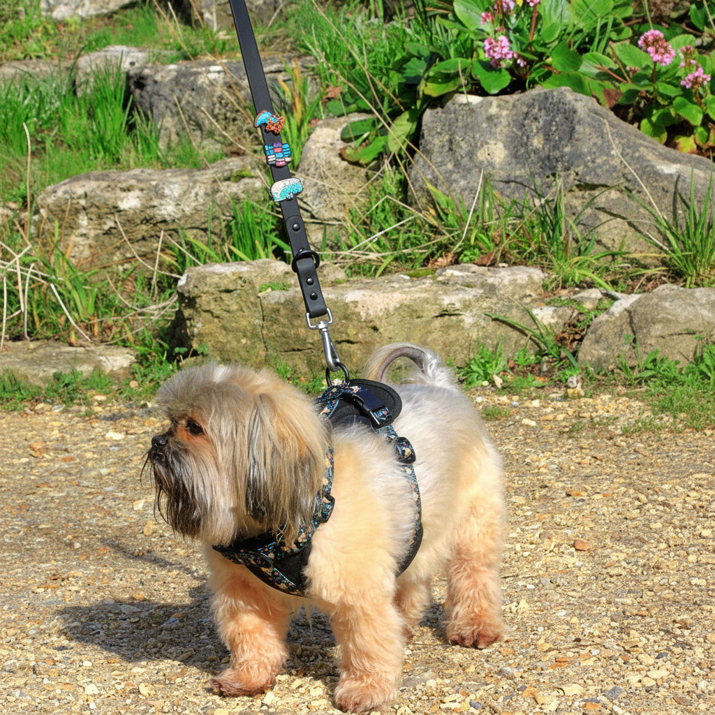 MIDNIGHT BLACK HARNESS SET