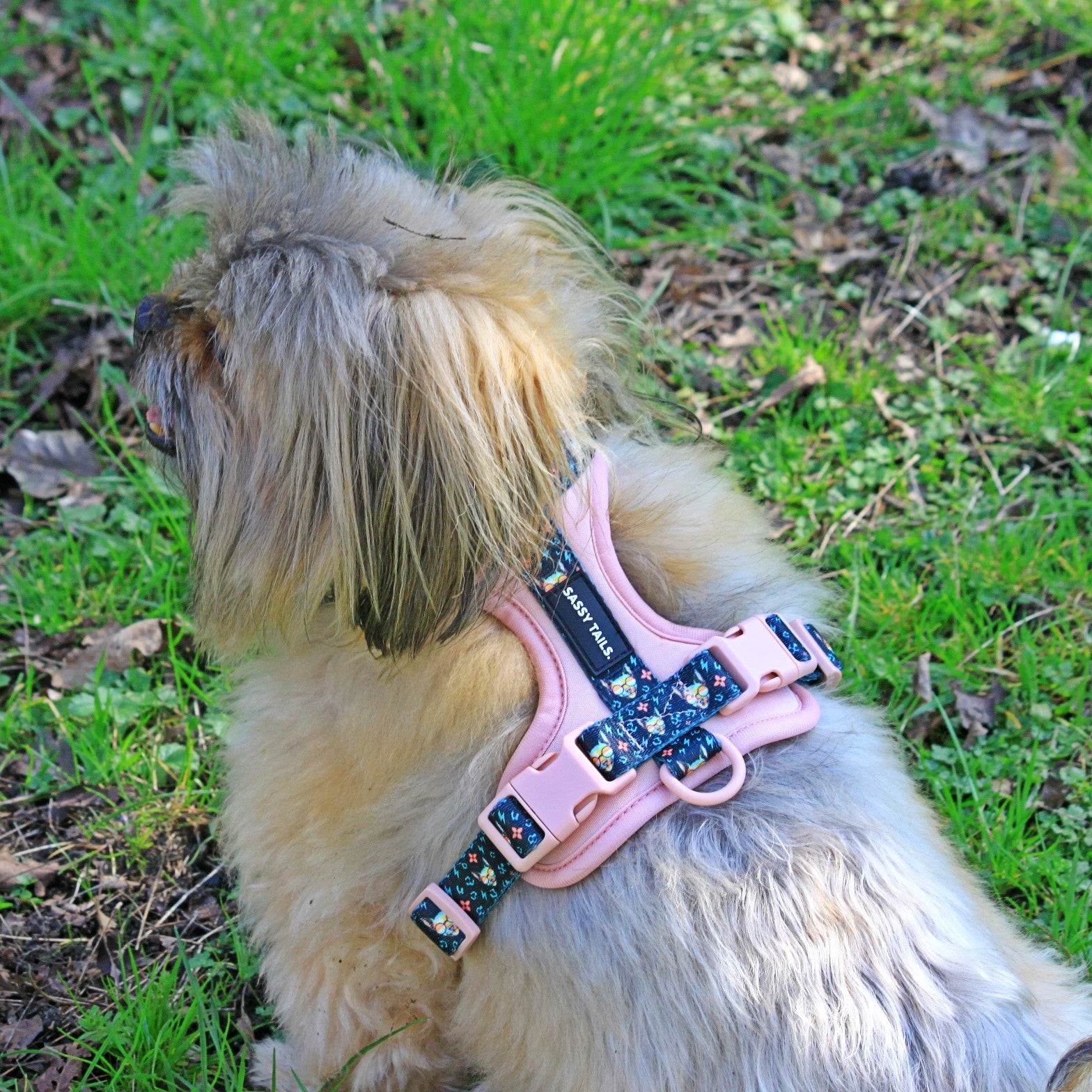 PINKY REBEL HARNESS SET
