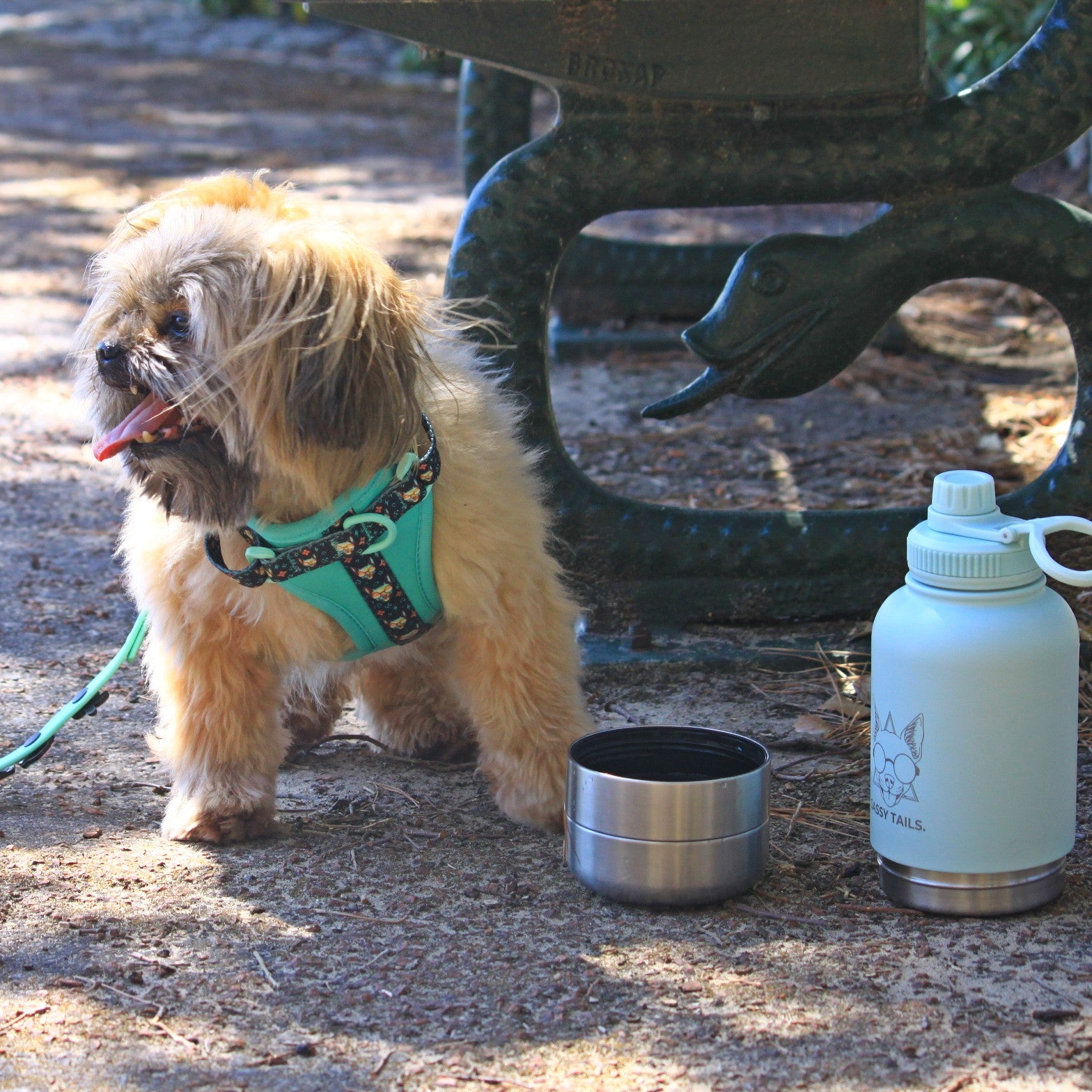 MINTY WIGGLE HARNESS SET
