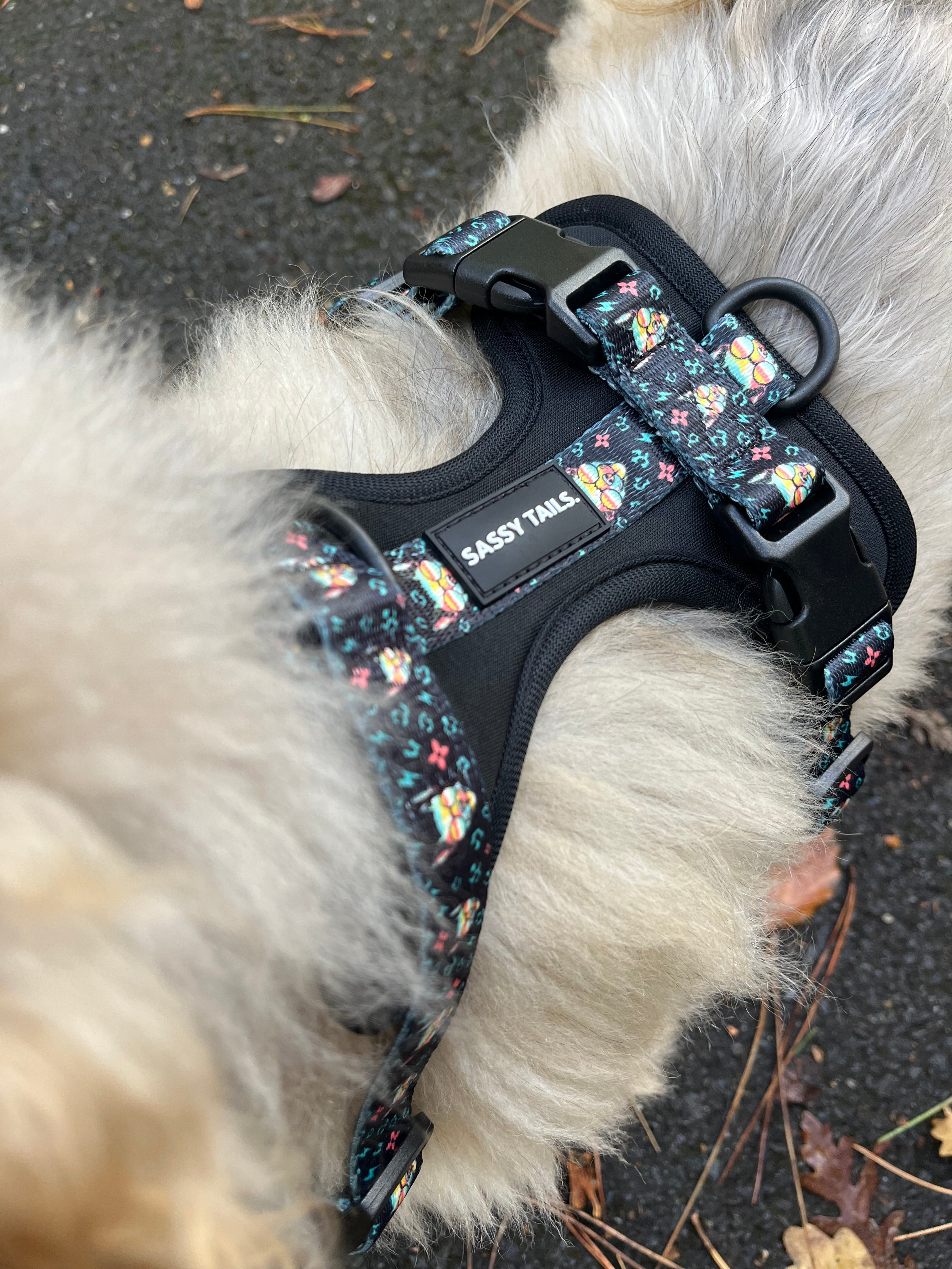 MIDNIGHT BLACK HARNESS