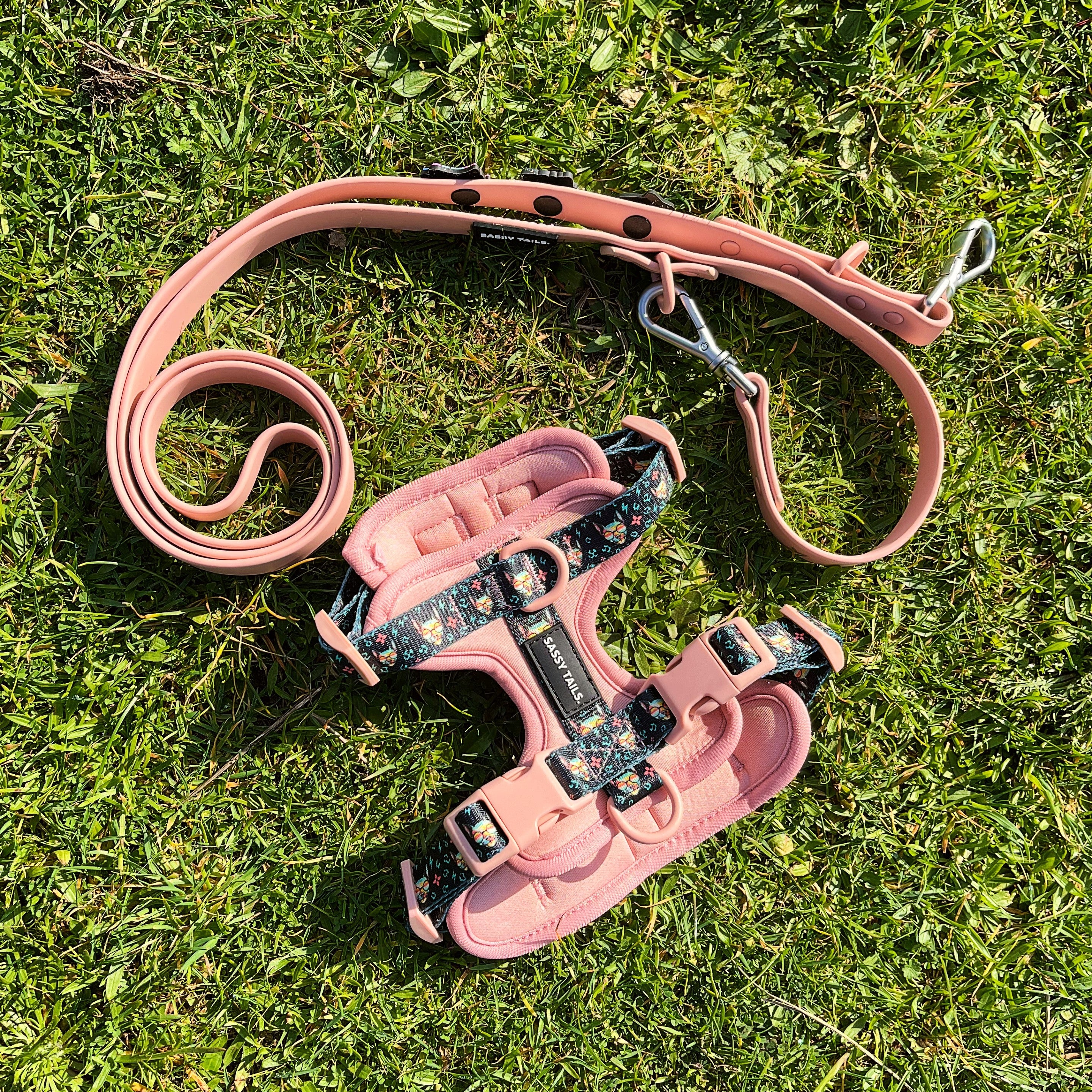 PINKY REBEL HARNESS SET