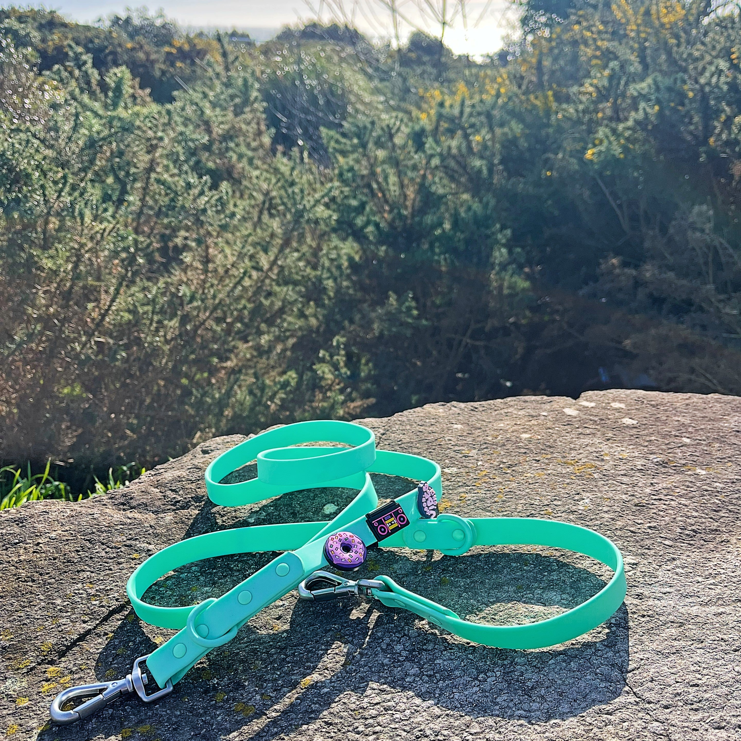 MINTY WIGGLE LEAD & COLLAR SET