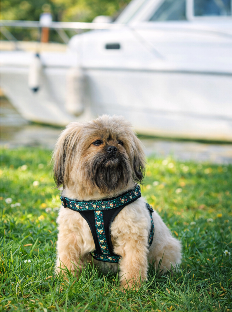 MIDNIGHT BLACK HARNESS
