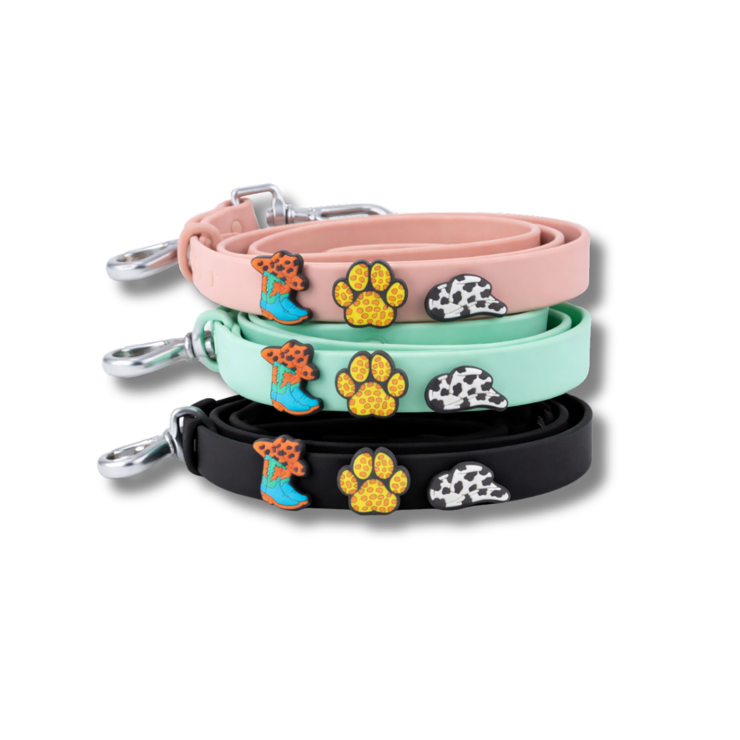 Wild West Wiggle Charm Set