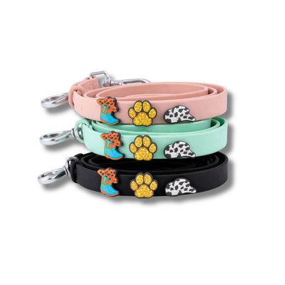 Wild West Wiggle Charm Set