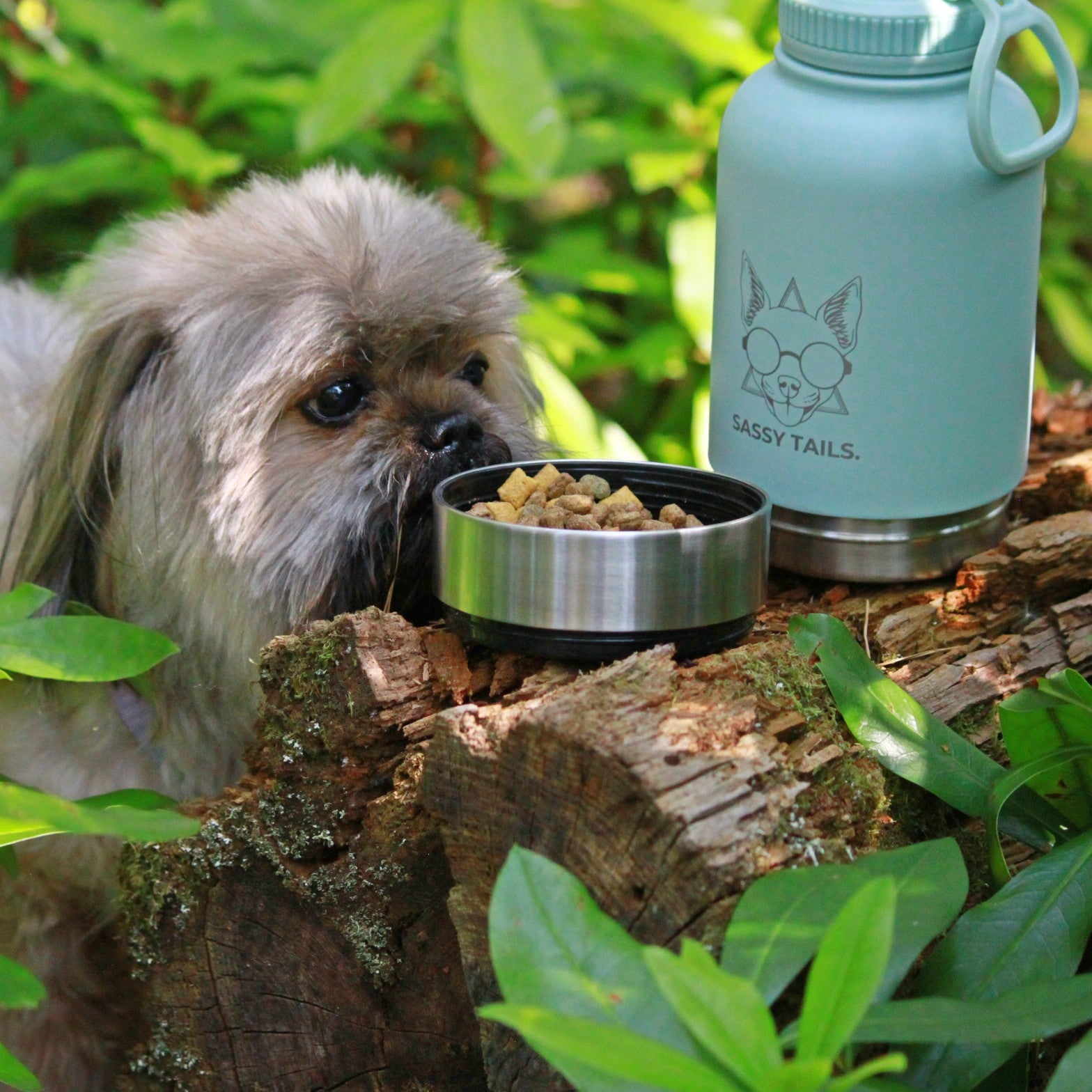 MINTY WIGGLE 3 IN 1 PET TRAVEL BOTTLE