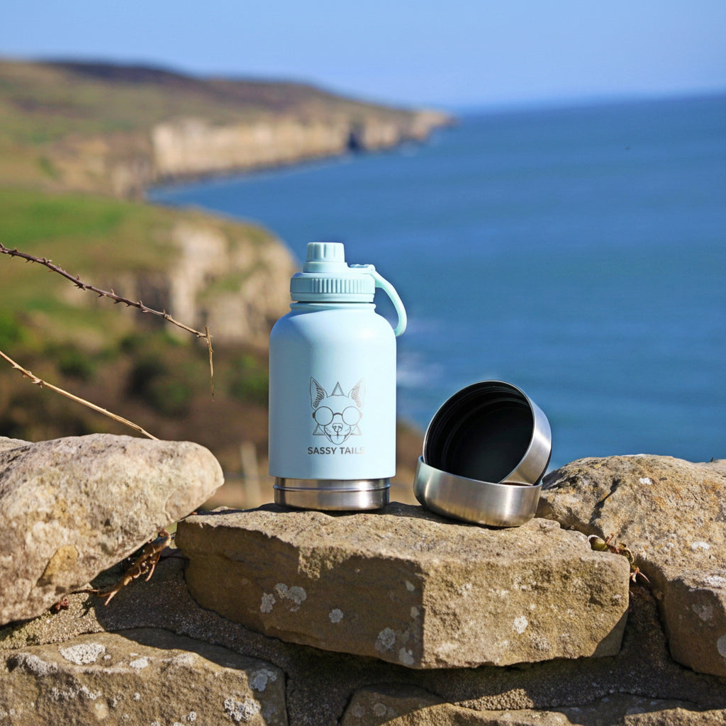 MINTY WIGGLE 3 IN 1 PET TRAVEL BOTTLE