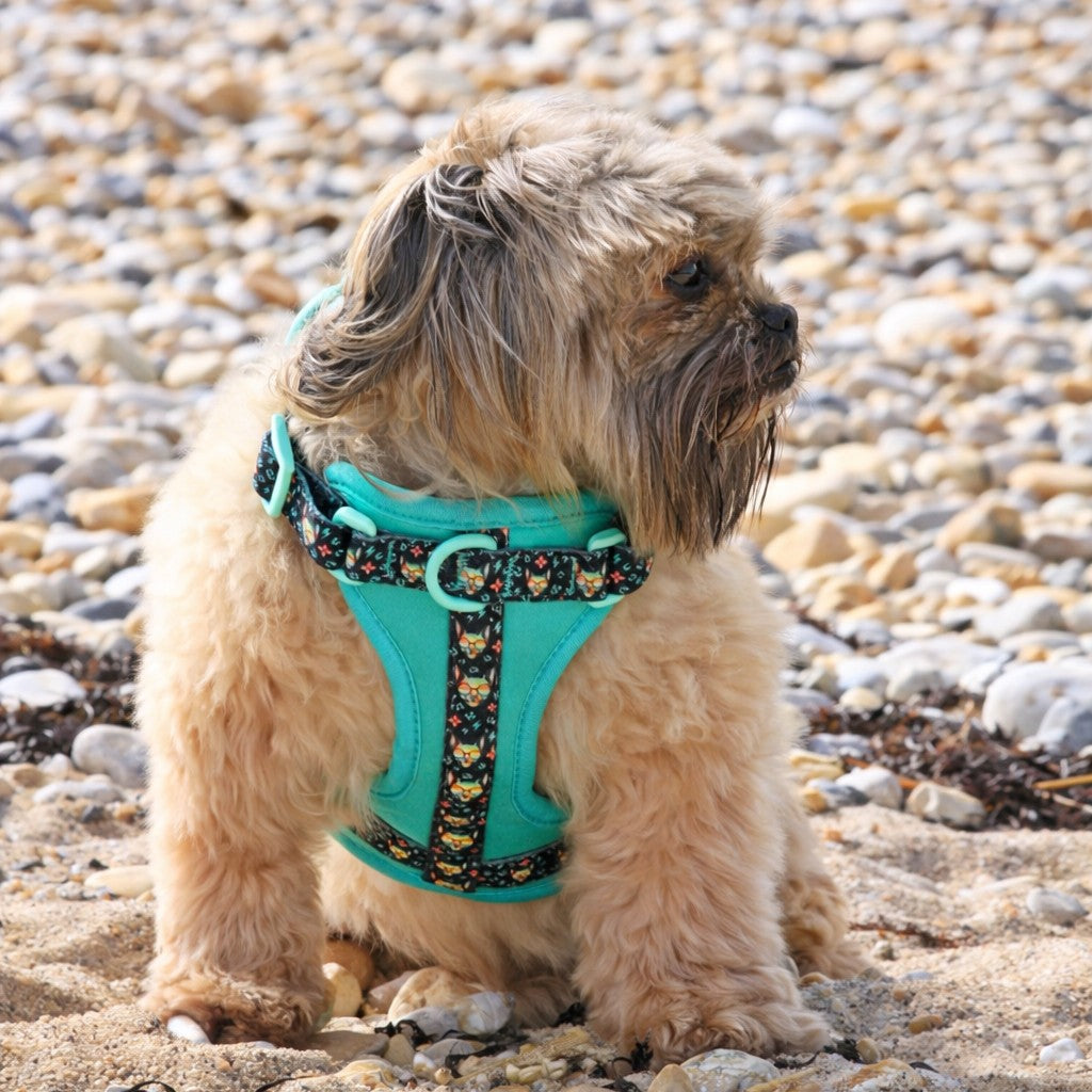 MINTY WIGGLE HARNESS