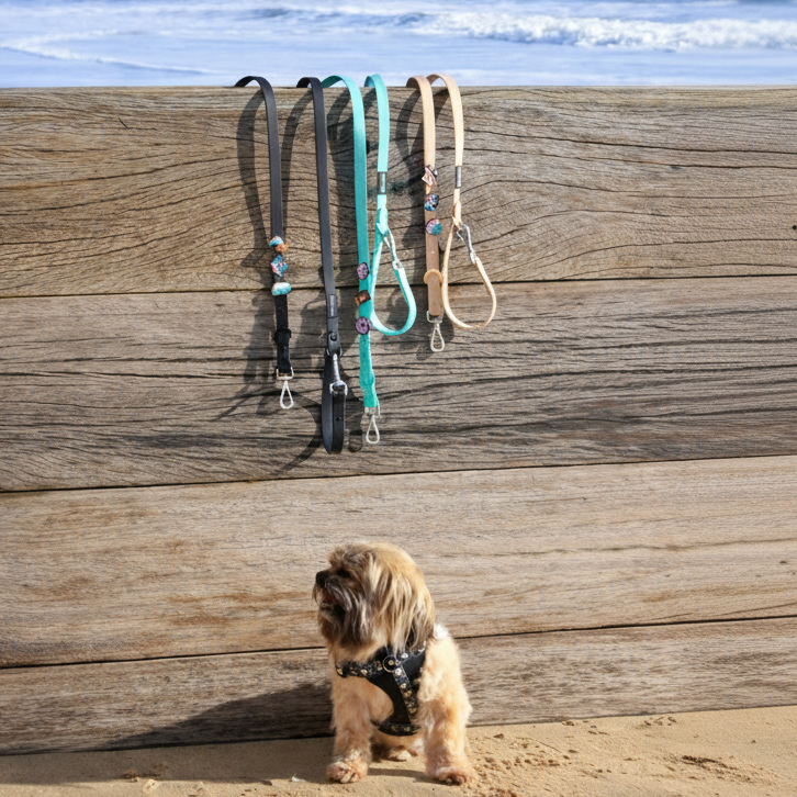 MIDNIGHT BLACK LEAD & COLLAR SET