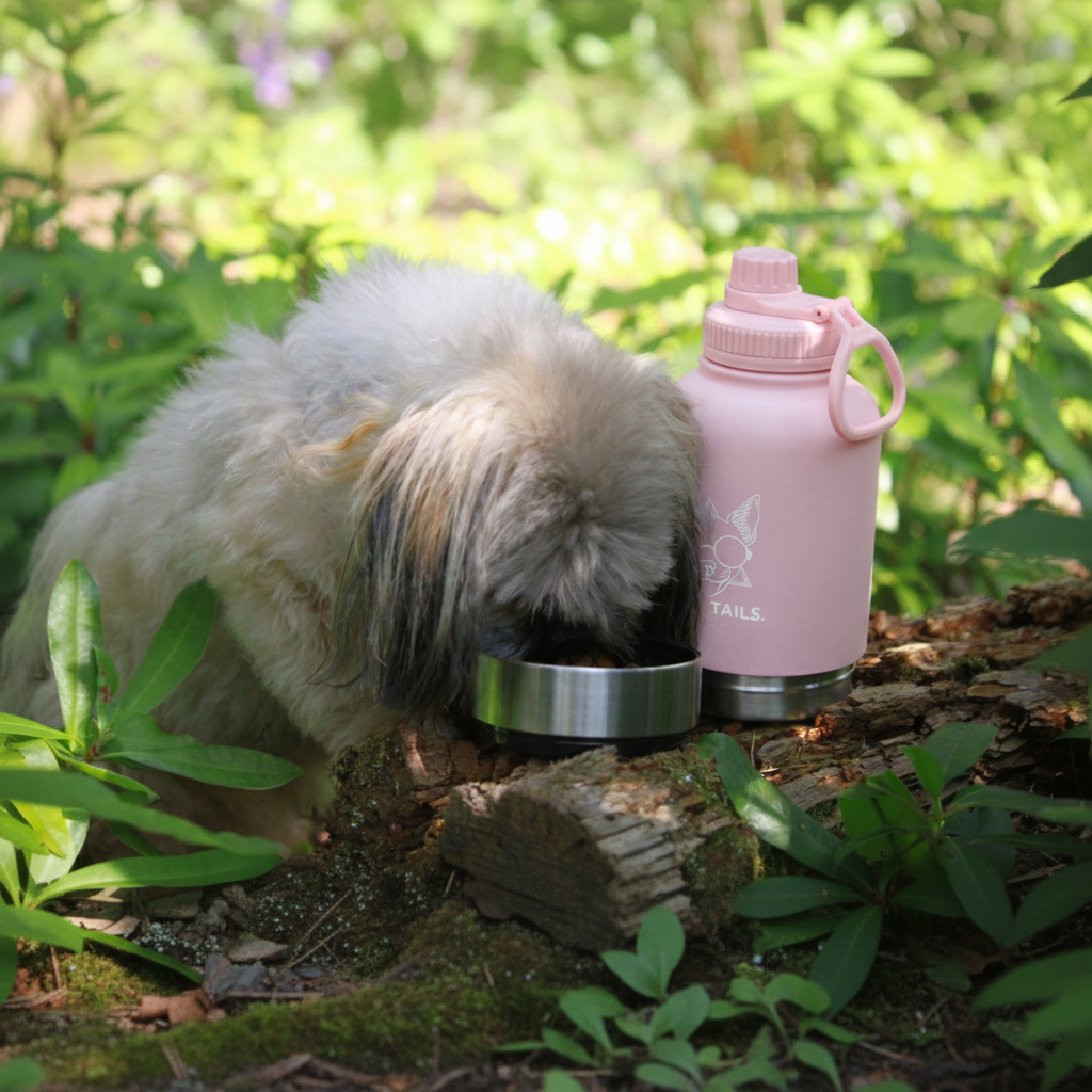 PINKY REBEL 3 IN 1 PET TRAVEL      BOTTLE