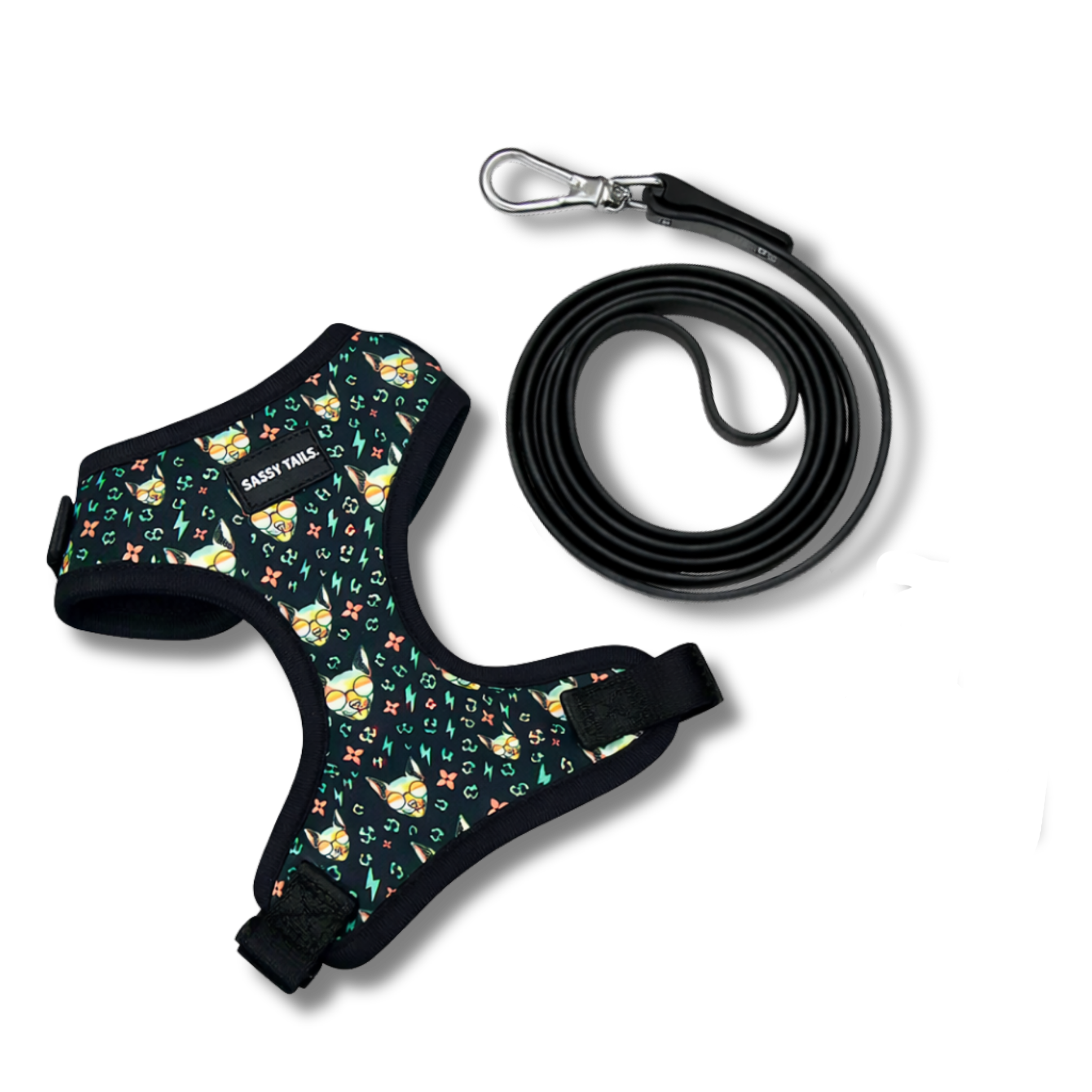 SASSY HARNESS SET
